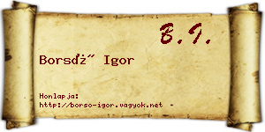 Borsó Igor névjegykártya